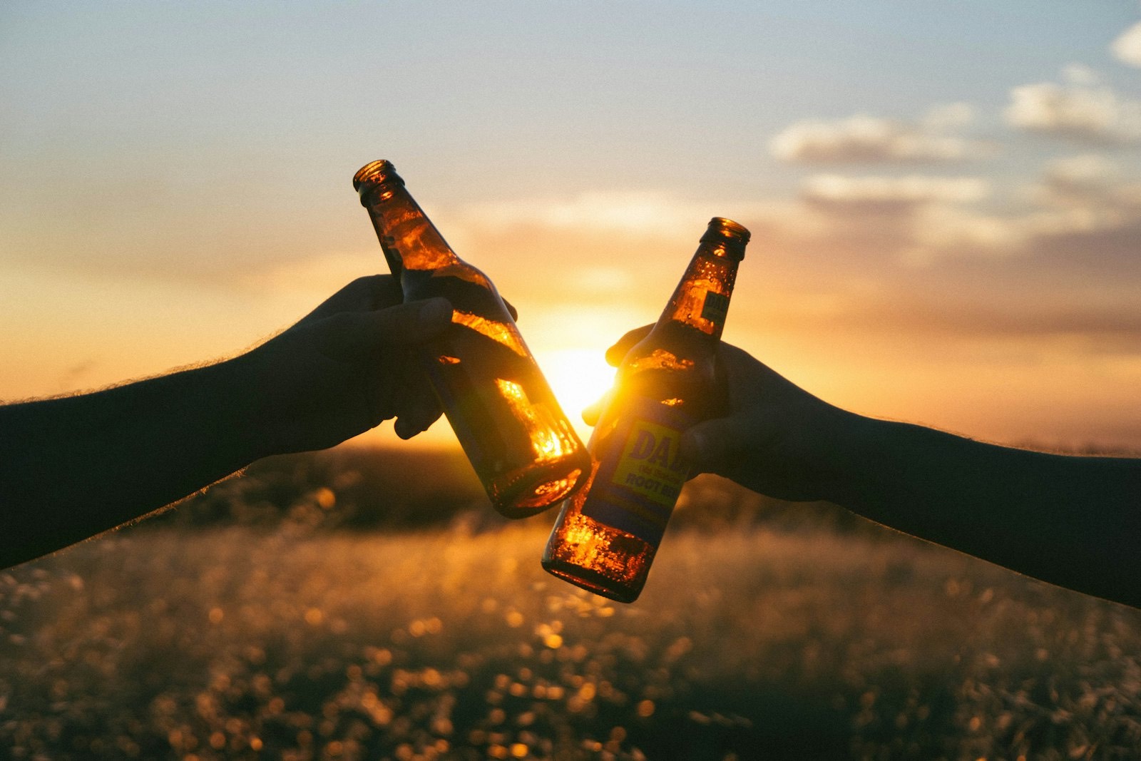 Two friends clinking beer bottles against a sunset sky